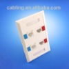 120 Type 4-port Faceplate