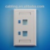 120 Type 2-port Faceplate