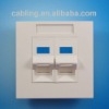 86 Type 45 Degree 2-port Faceplate